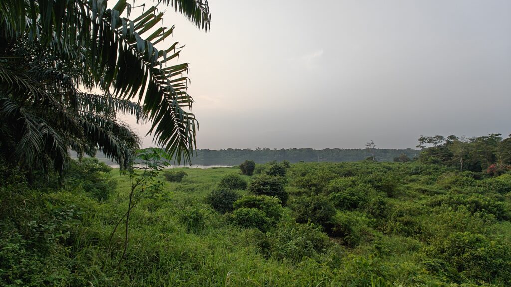 Boende landscape